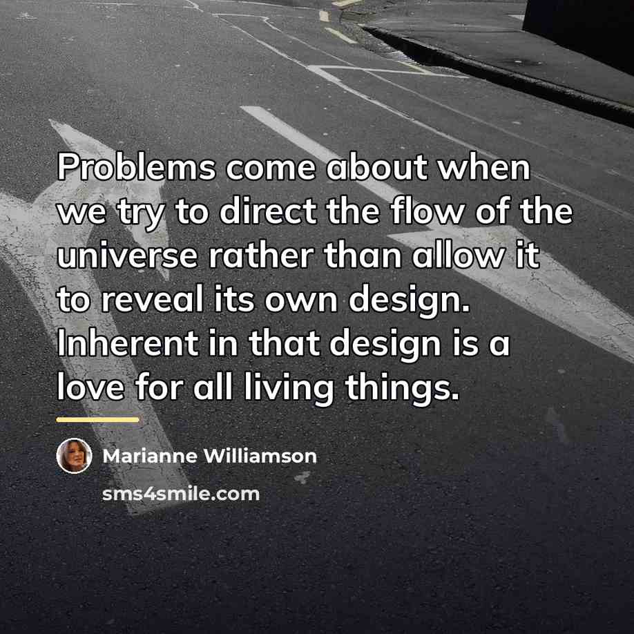 “Problems come about when we try to direct the flow…” quote by Marianne Williamson