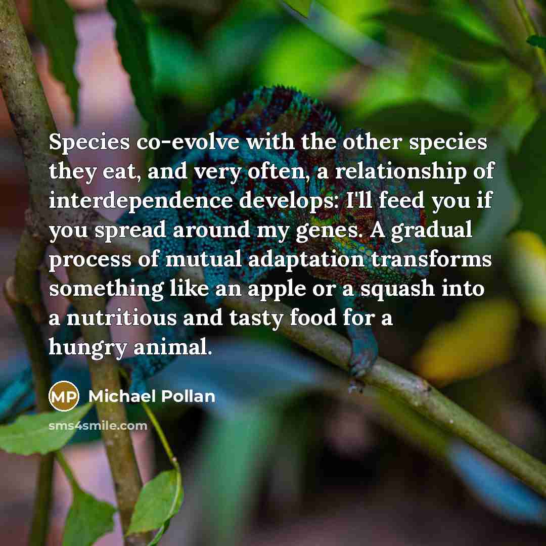 “Species co-evolve with the other species they eat, and very…” quote by Michael Pollan