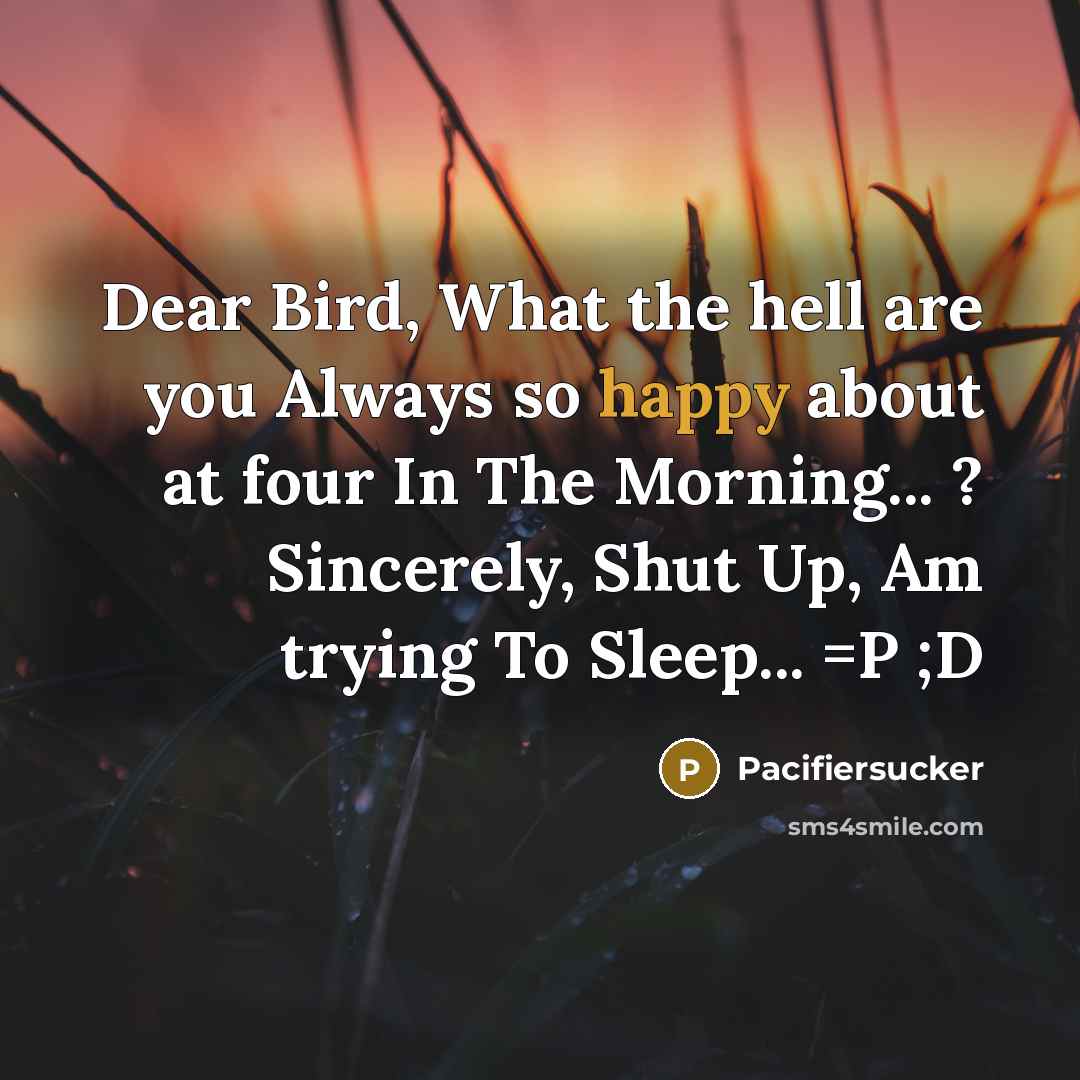 “Dear Bird, What the hell are you Always so happy…” quote by Pacifiersucker