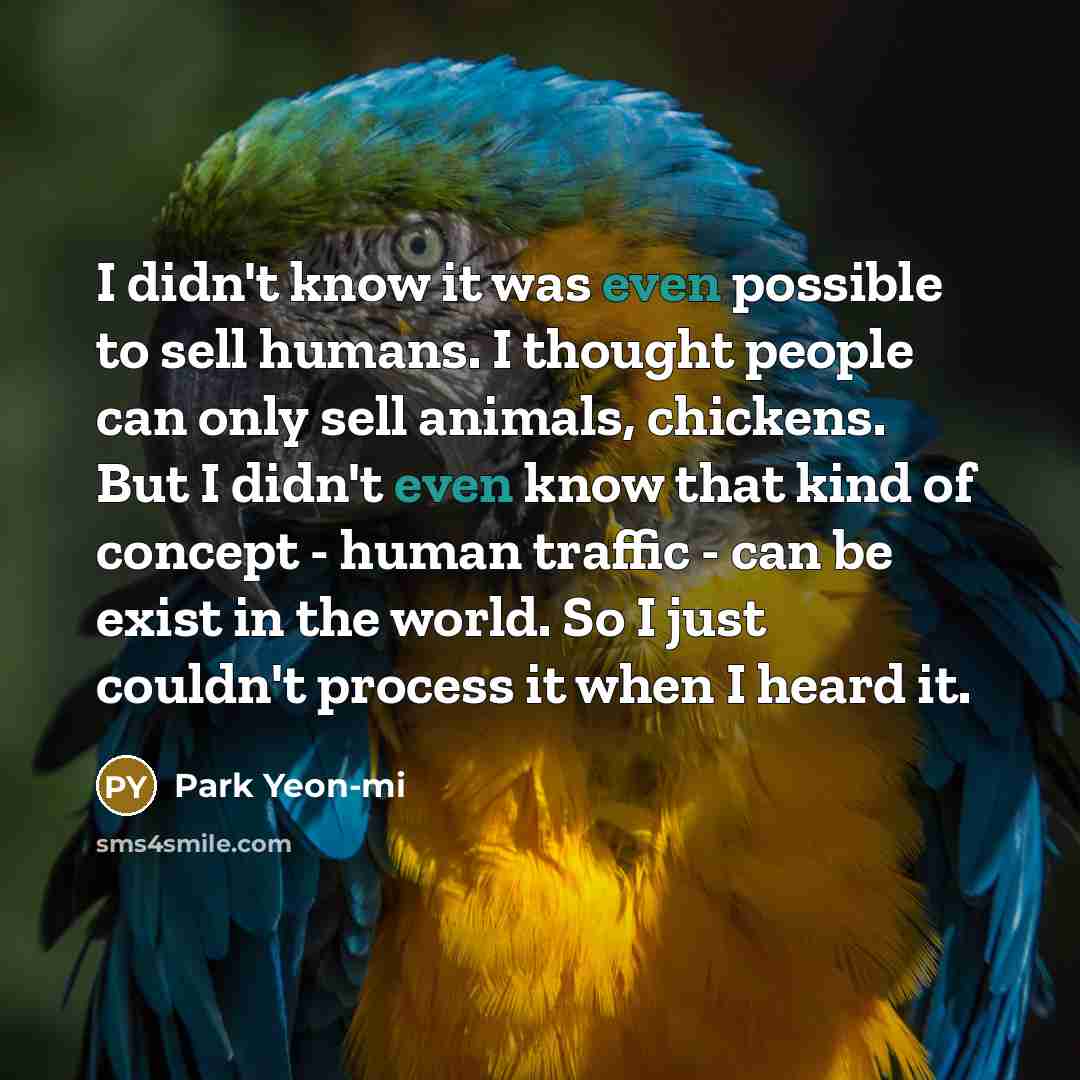 “I didn't know it was even possible to sell humans.…” quote by Park Yeon-mi