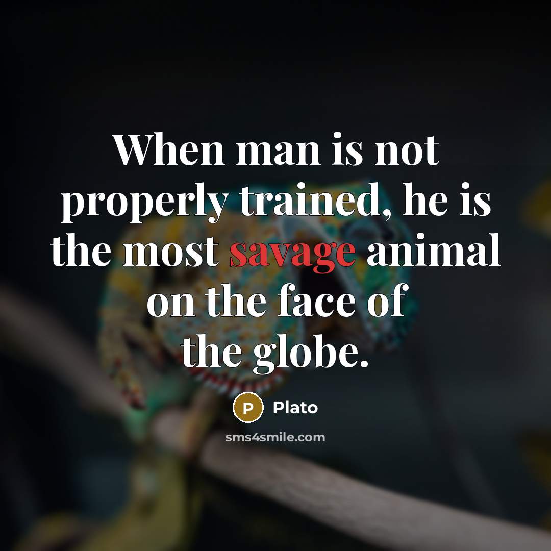 “When man is not properly trained, he is the most…” quote by Plato