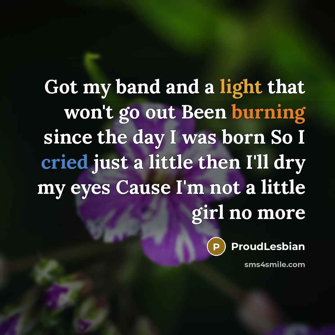 “Got my band and a light that won't go out Been burning since the day I was born So I cried just a little then I'll dry my eyes Cause I'm not a little girl no more” quote by ProudLesbian