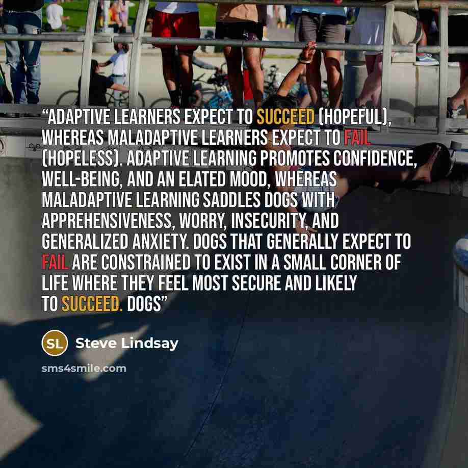 “Adaptive learners expect to succeed (hopeful), whereas maladaptive learners expect to fail (hopeless). Adaptive learning promotes confidence, well-being, and an elated mood, whereas maladaptive learning saddles dogs with apprehensiveness, worry, insecurity, and generalized anxiety. Dogs that…” quote by Steve Lindsay