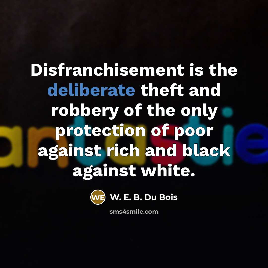 “Disfranchisement is the deliberate theft and robbery of the only…” quote by W. E. B. Du Bois
