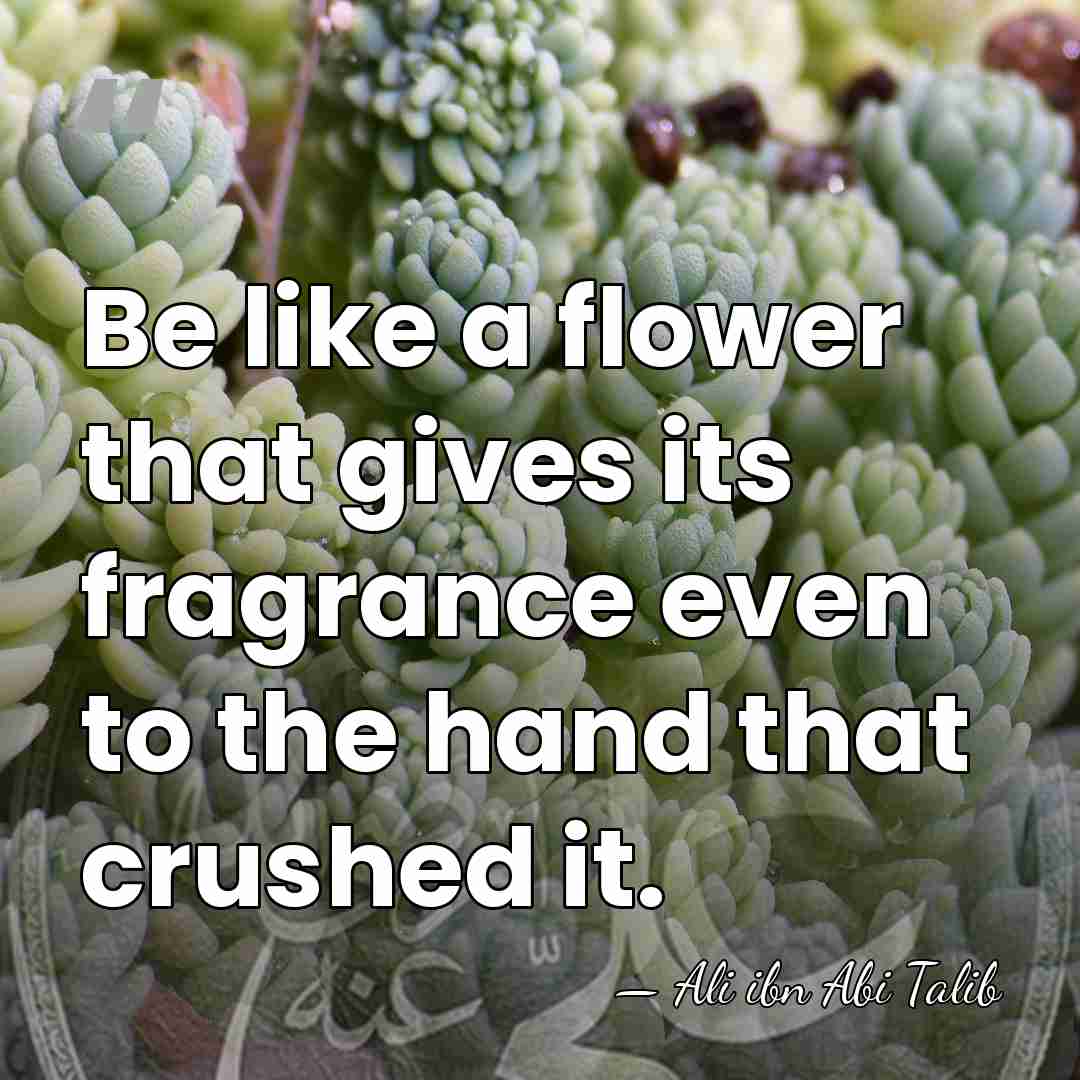 Be like a flower that gives its fragrance even to the hand&hellip; - Ali ibn Abi Talib