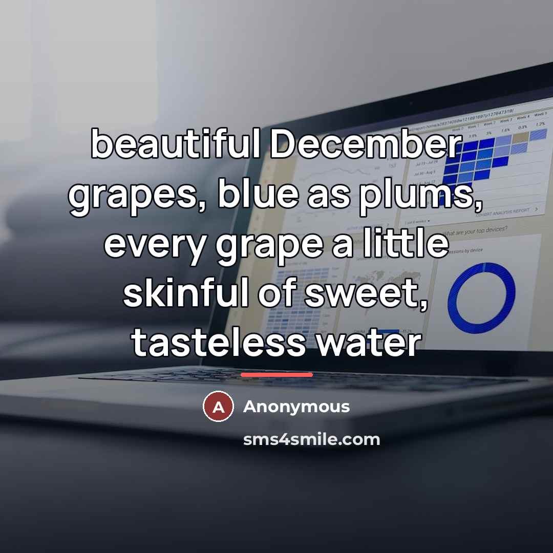 “beautiful December grapes, blue as plums, every grape a little…” quote by Anonymous