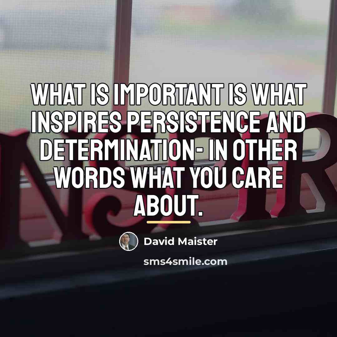 “What is important is what inspires persistence and determination- in…” quote by David Maister