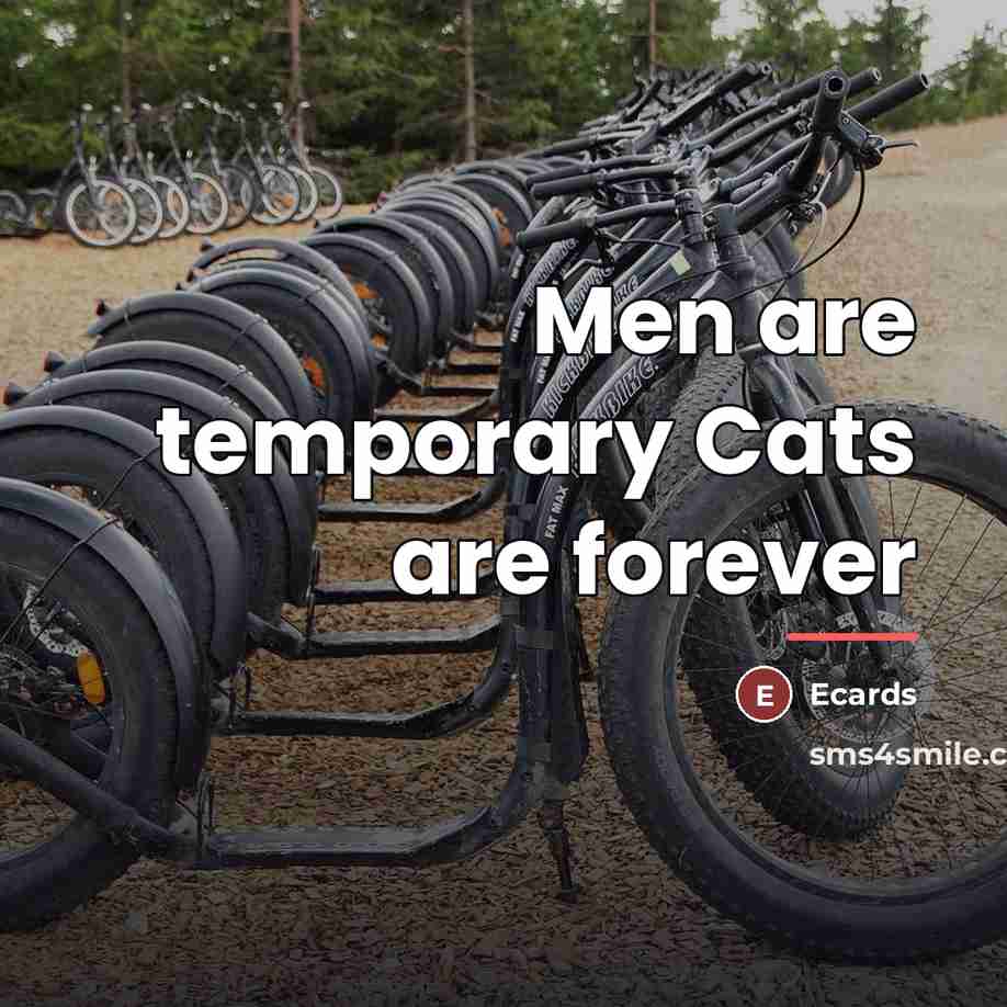 “Men are temporary Cats are forever…” quote by Ecards