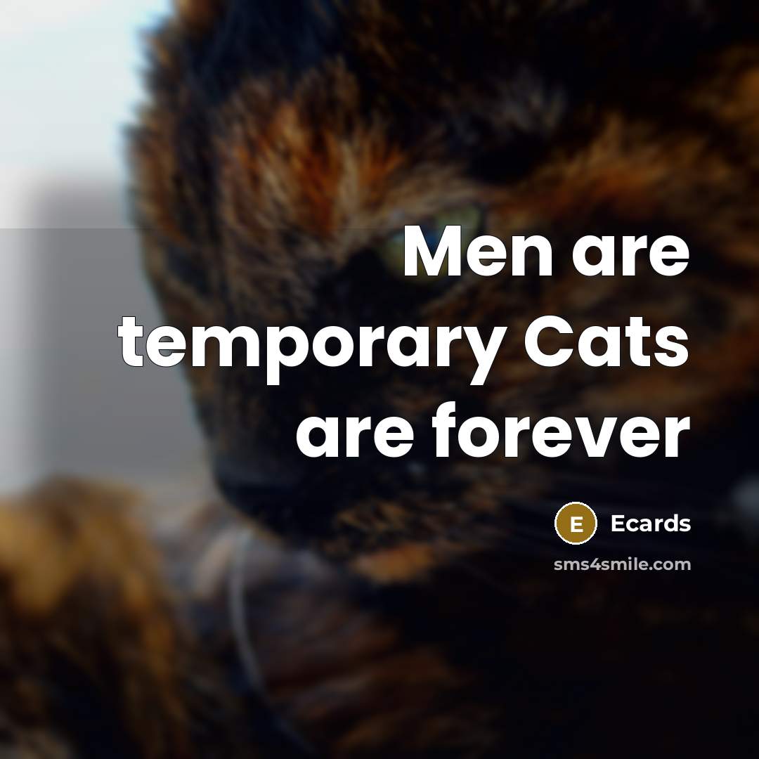 “Men are temporary Cats are forever” quote by Ecards