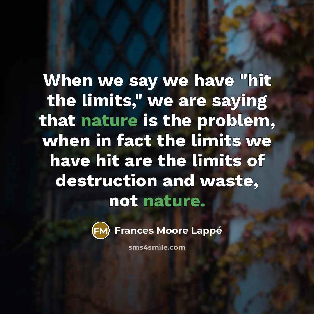 “When we say we have "hit the limits," we are…” quote by Frances Moore Lappé
