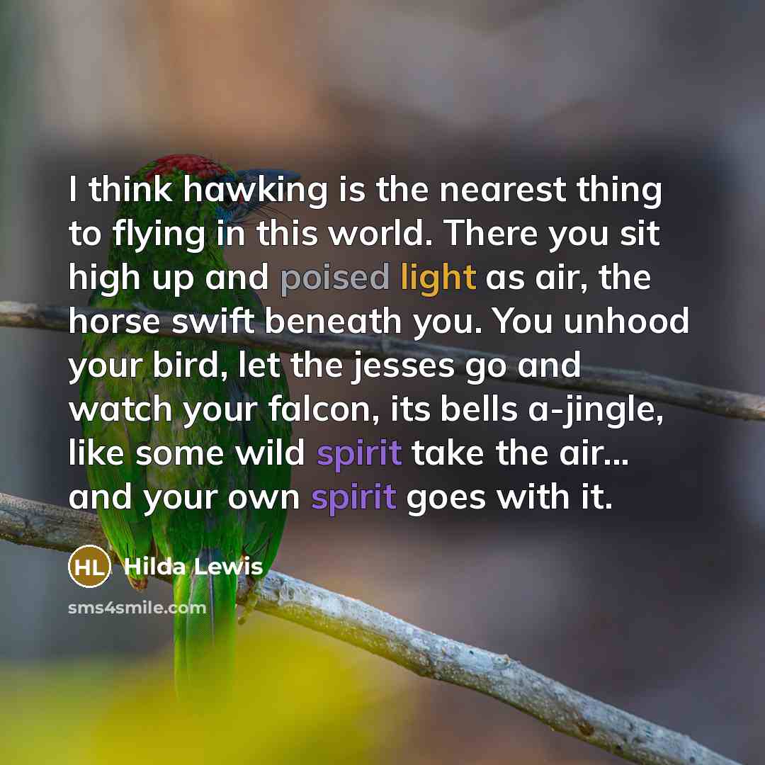 “I think hawking is the nearest thing to flying in…” quote by Hilda Lewis