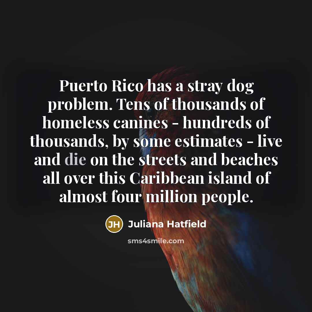 “Puerto Rico has a stray dog problem. Tens of thousands of homeless canines - hundreds of thousands, by some estimates - live and die on the streets and beaches all over this Caribbean island of almost four million people.” quote by Juliana Hatfield