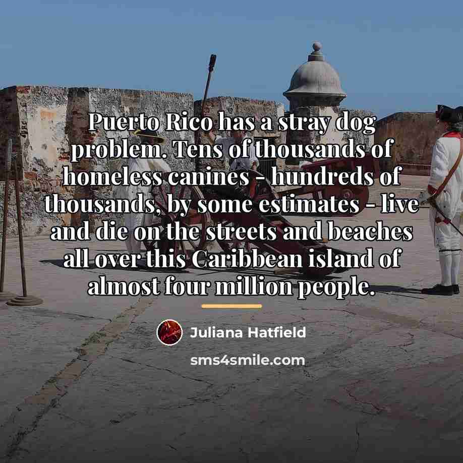 “Puerto Rico has a stray dog problem. Tens of thousands…” quote by Juliana Hatfield