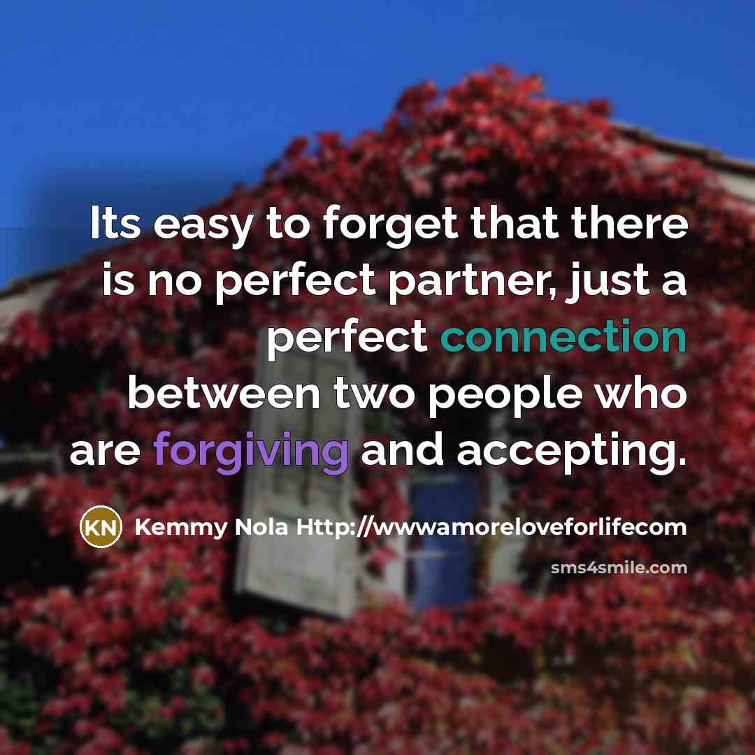 “Its easy to forget that there is no perfect partner, just a perfect connection between two people who are forgiving and accepting.” quote by Kemmy Nola Http://wwwamoreloveforlifecom