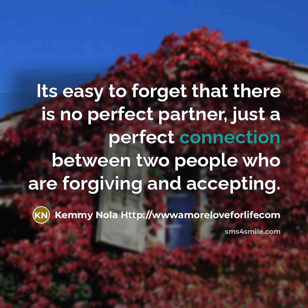 “Its easy to forget that there is no perfect partner, just a perfect connection between two people who are forgiving and accepting.” quote by Kemmy Nola Http://wwwamoreloveforlifecom