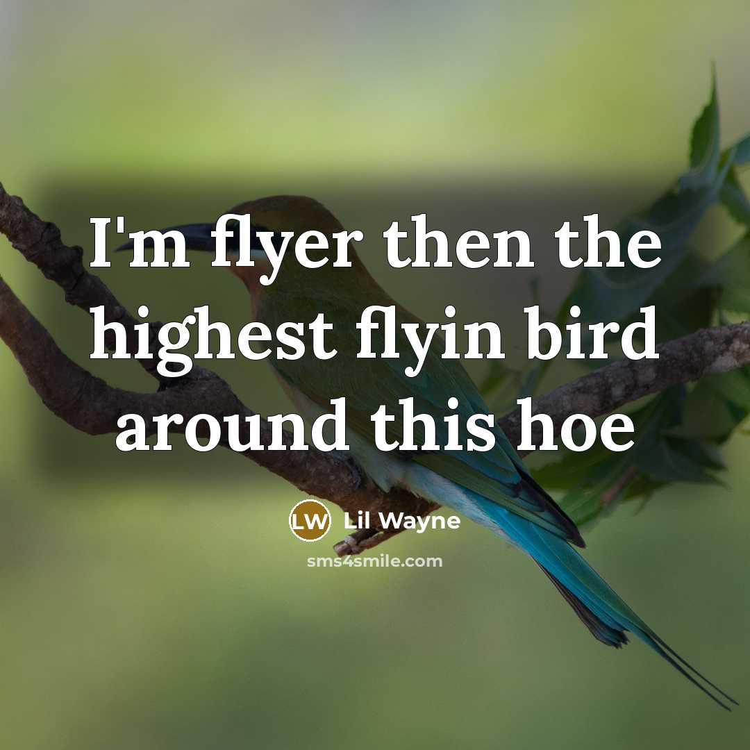 “I'm flyer then the highest flyin bird around this hoe…” quote by Lil Wayne