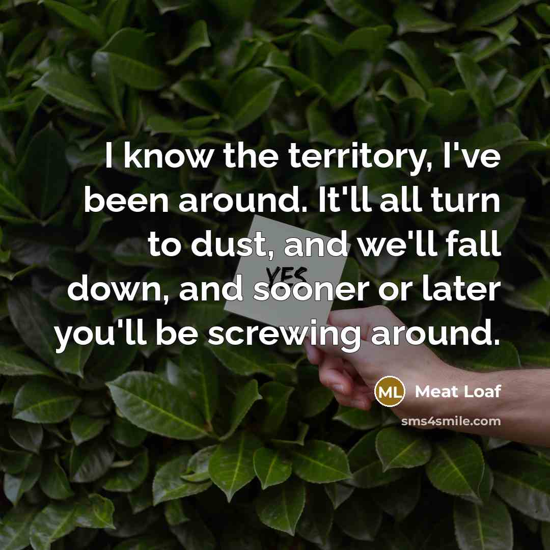 “I know the territory, I've been around. It'll all turn…” quote by Meat Loaf