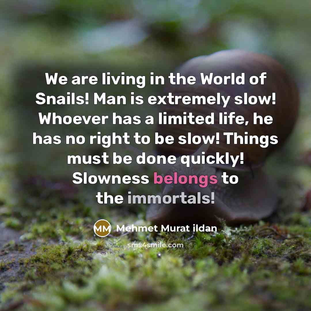 “We are living in the World of Snails! Man is…” quote by Mehmet Murat Ildan