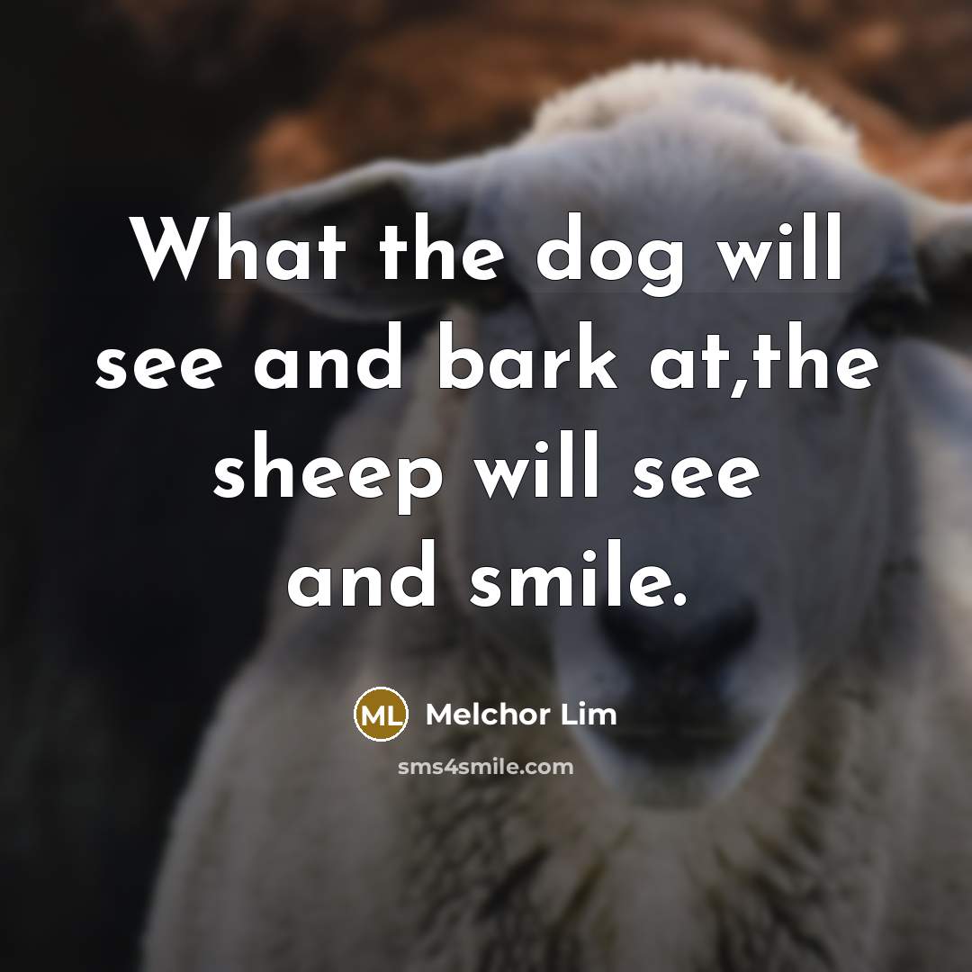 “What the dog will see and bark at,the sheep will…” quote by Melchor Lim