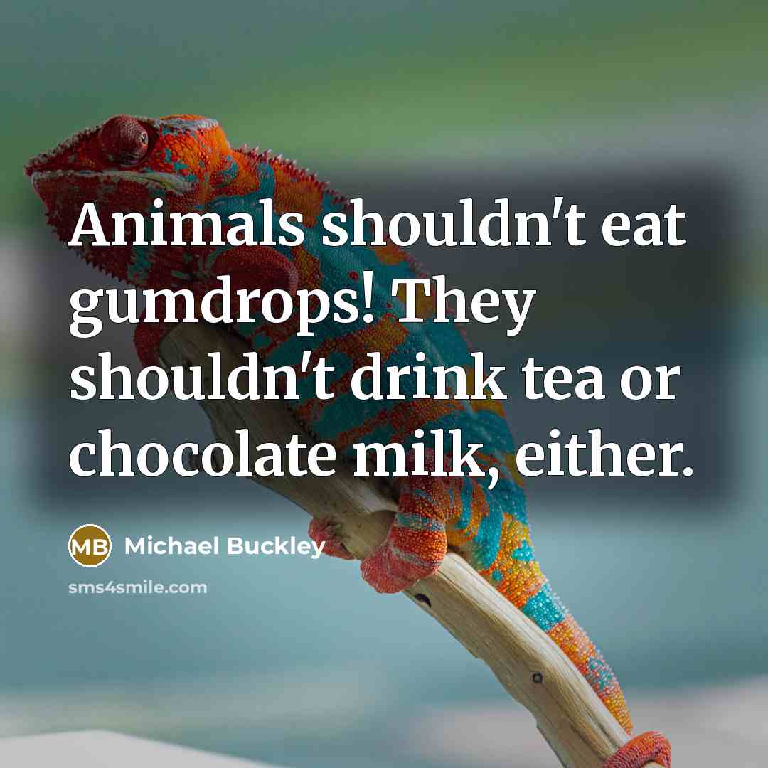 “Animals shouldn't eat gumdrops! They shouldn't drink tea or chocolate…” quote by Michael Buckley