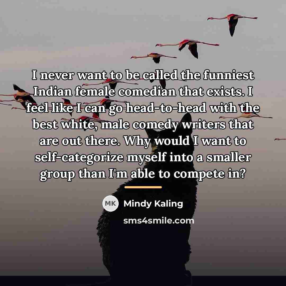“I never want to be called the funniest Indian female…” quote by Mindy Kaling