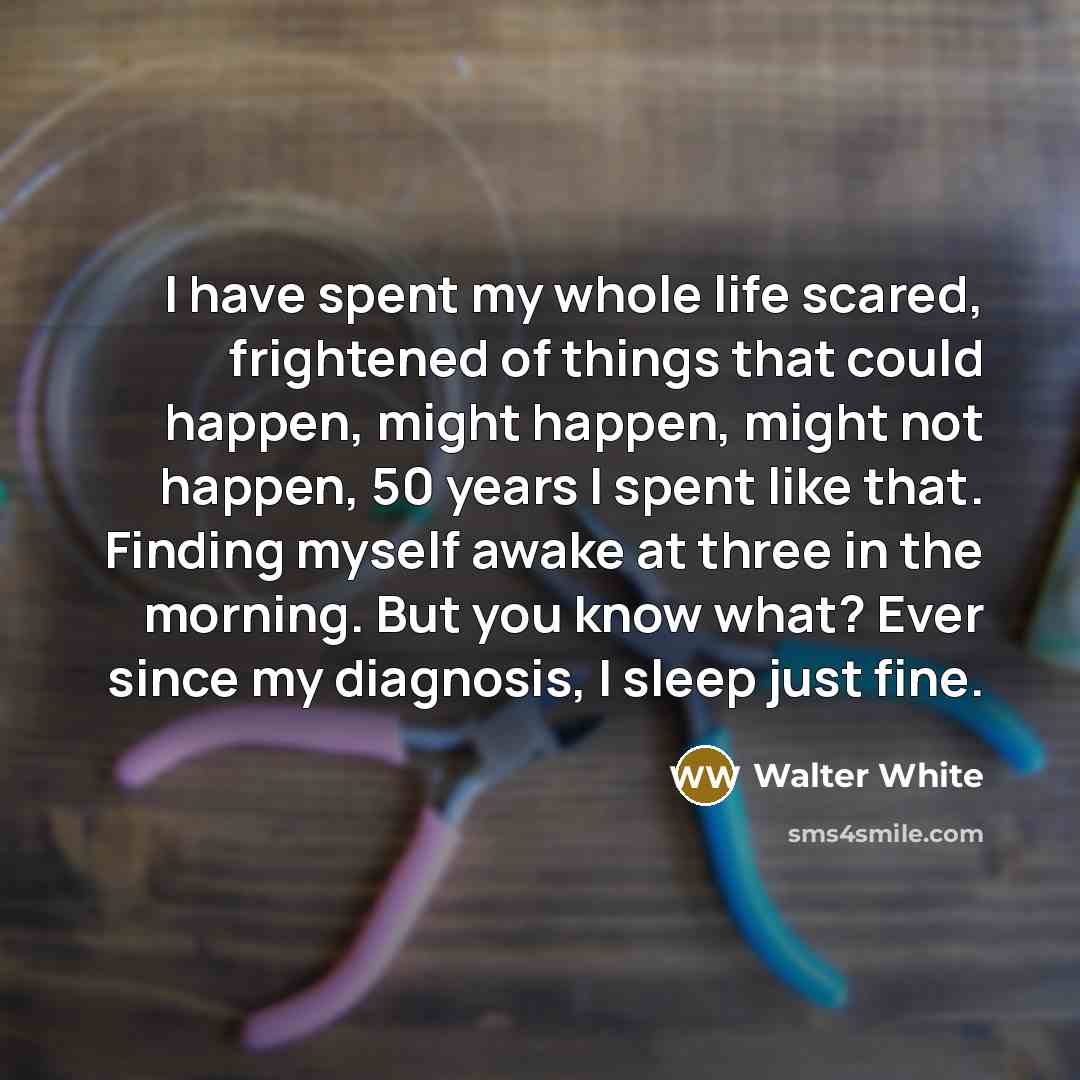 “I have spent my whole life scared, frightened of things…” quote by Walter White