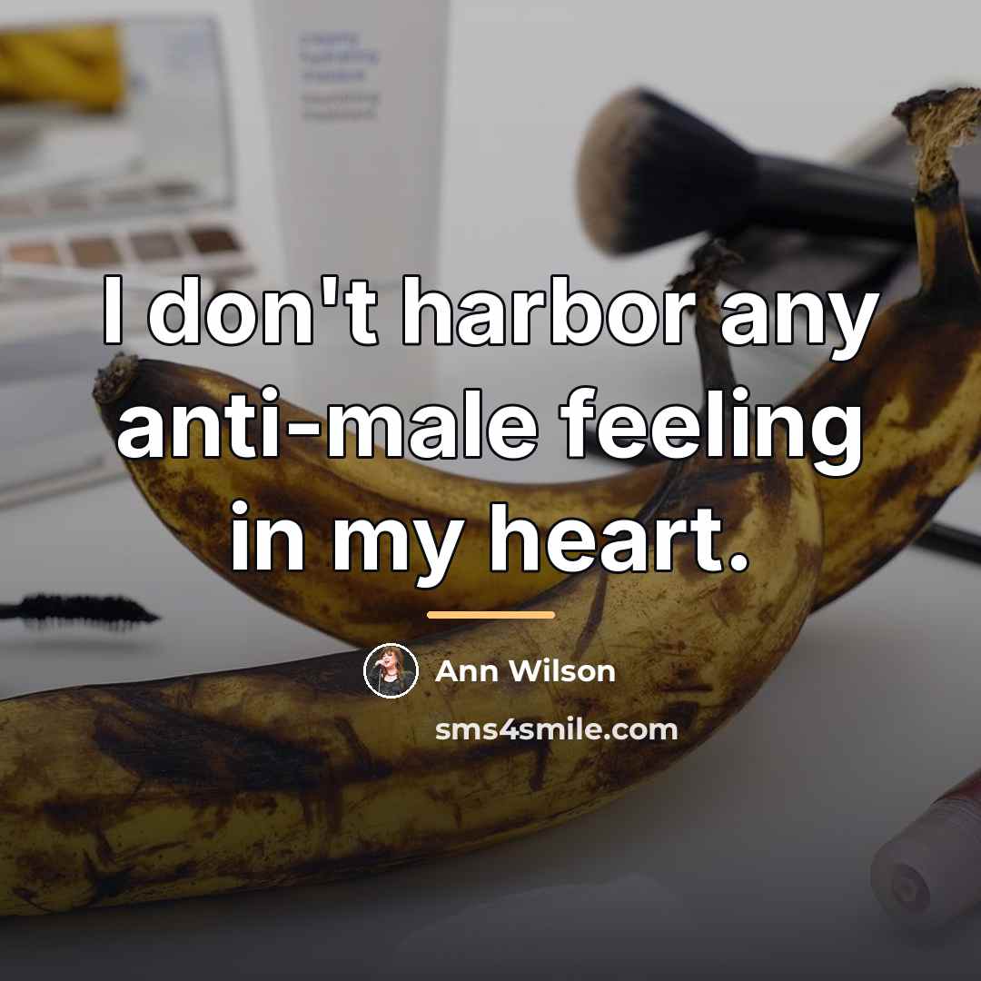 “I don't harbor any anti-male feeling in my heart.…” quote by Ann Wilson
