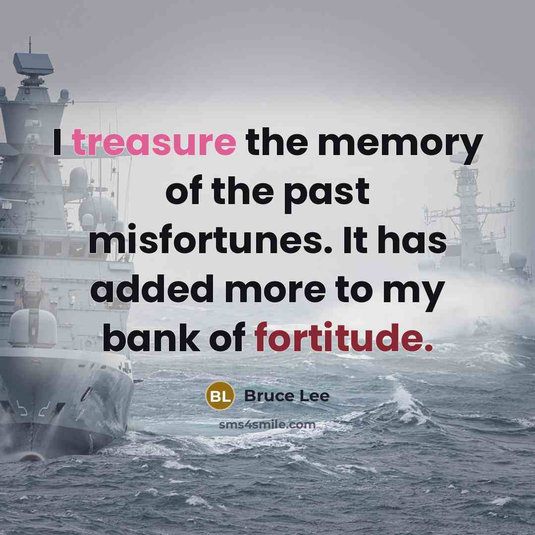 “I treasure the memory of the past misfortunes. It has…” quote by Bruce Lee