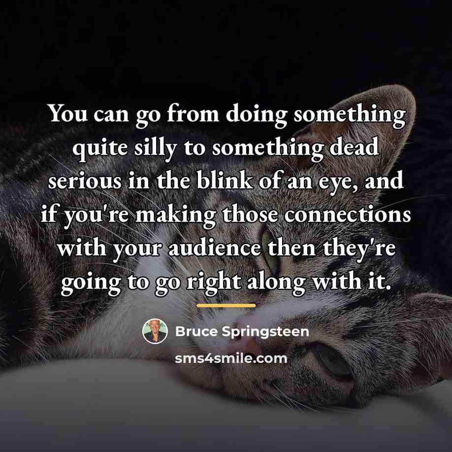 “You can go from doing something quite silly to something…” quote by Bruce Springsteen