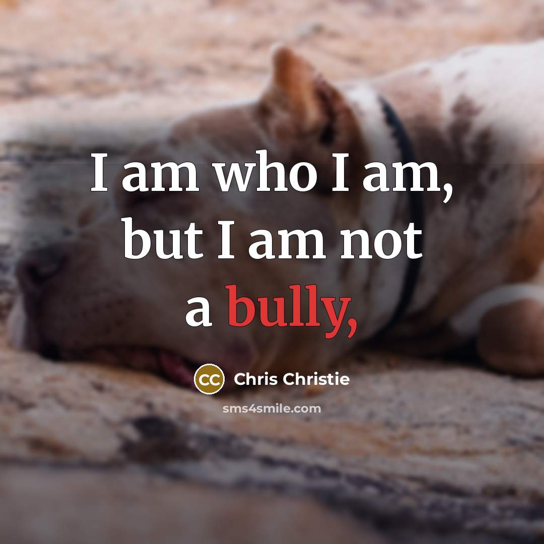 “I am who I am, but I am not a…” quote by Chris Christie
