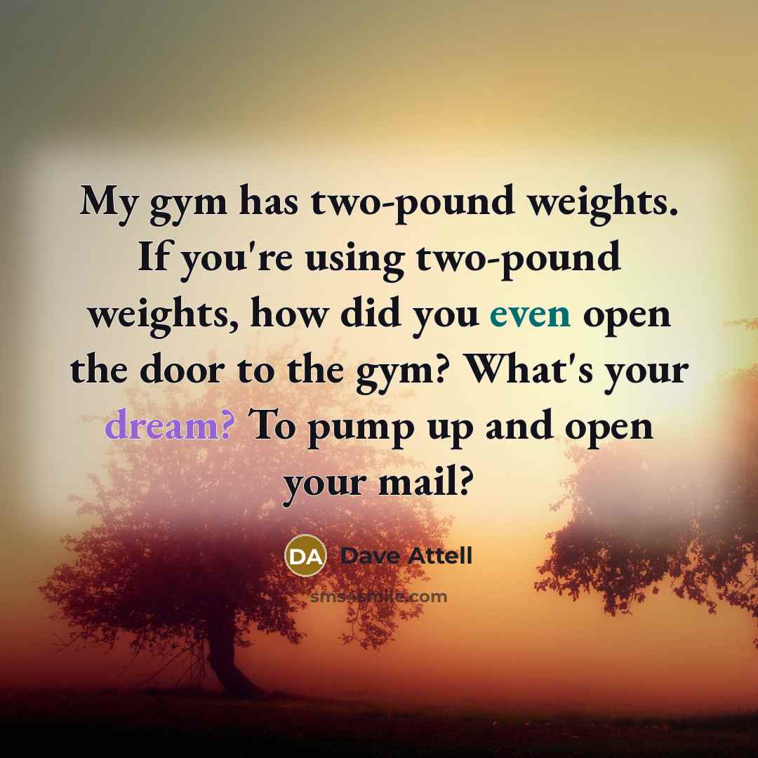 “My gym has two-pound weights. If you're using two-pound weights,…” quote by Dave Attell