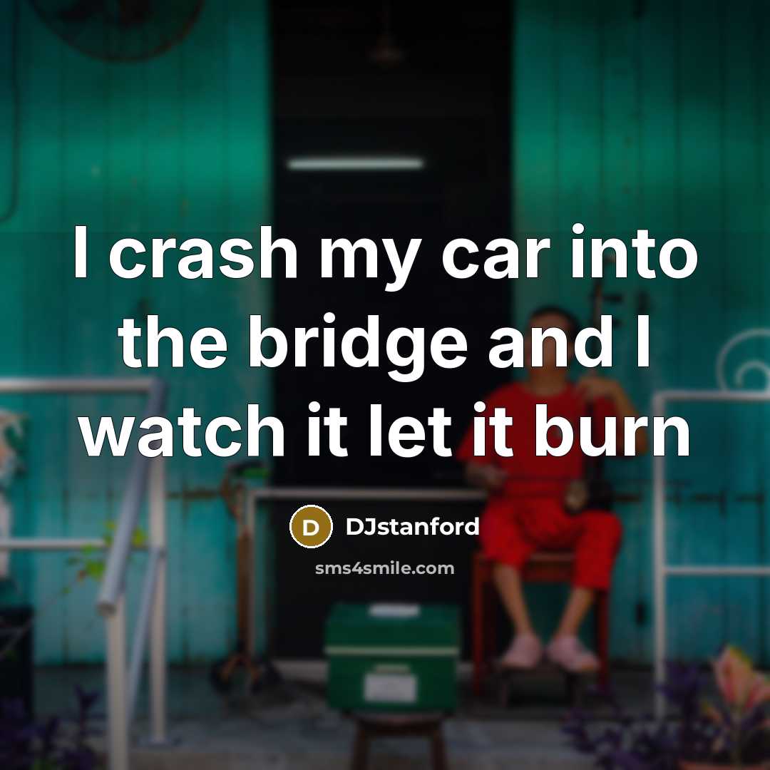 “I crash my car into the bridge and I watch…” quote by DJstanford