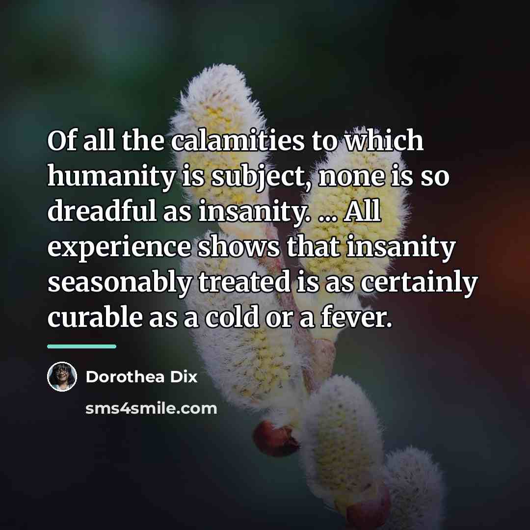 “Of all the calamities to which humanity is subject, none…” quote by Dorothea Dix