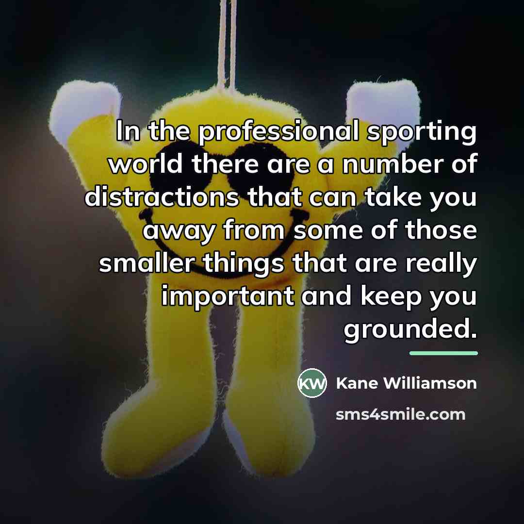 “In the professional sporting world there are a number of…” quote by Kane Williamson