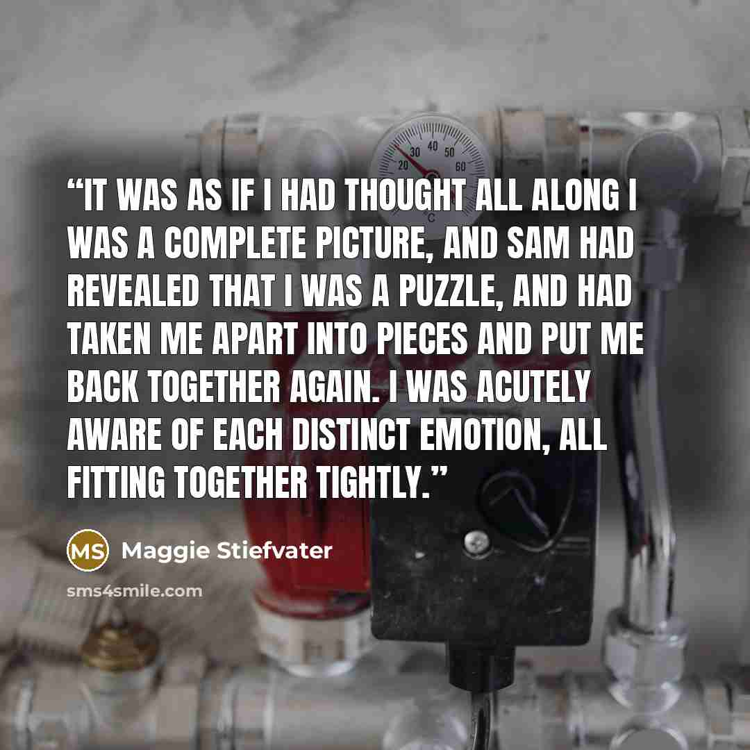 “It was as if I had thought all along I was a complete picture, and Sam had revealed that I was a puzzle, and had taken me apart into pieces and put me back together again. I was acutely aware of each distinct emotion, all fitting together tightly.” quote by Maggie Stiefvater