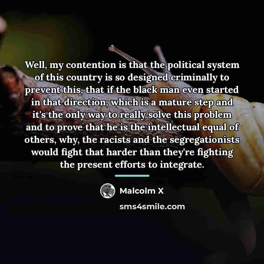 “Well, my contention is that the political system of this…” quote by Malcolm X