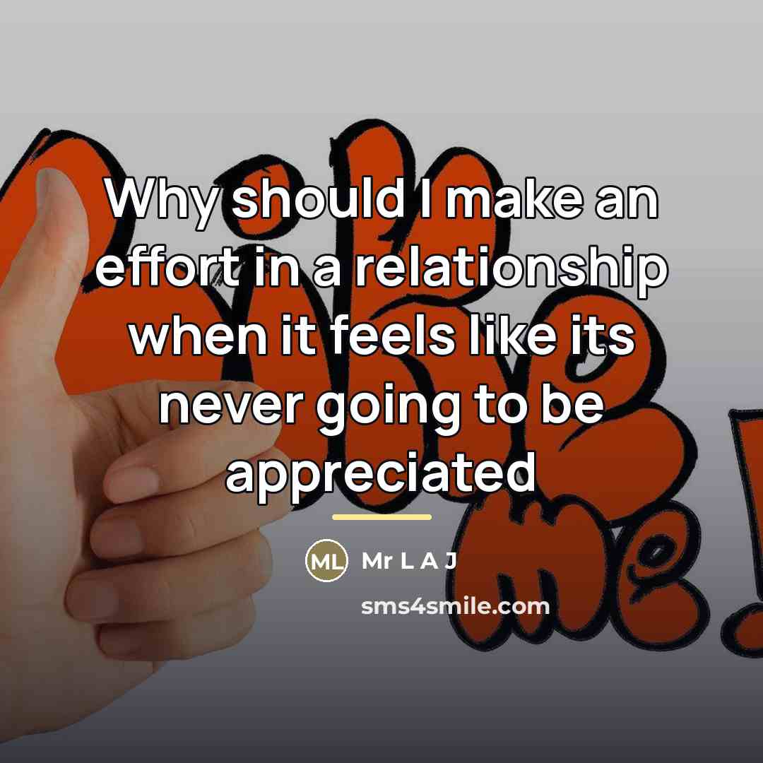 “Why should I make an effort in a relationship when…” quote by Mr L A J