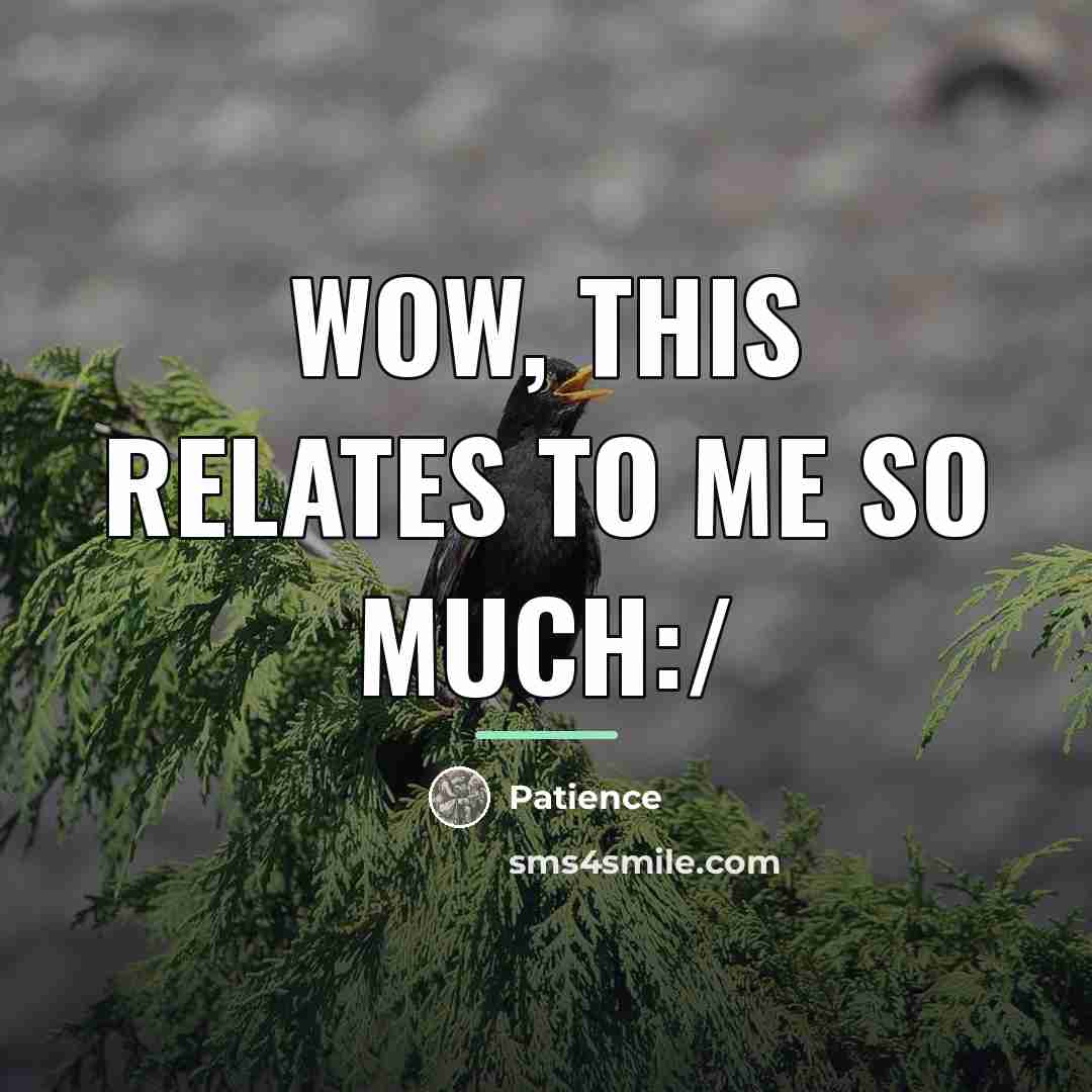 “Wow, this relates to me so much:/…” quote by Patience