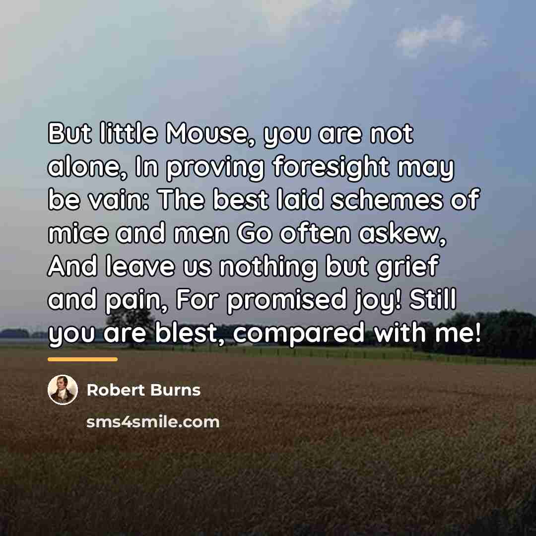 “But little Mouse, you are not alone, In proving foresight…” quote by Robert Burns