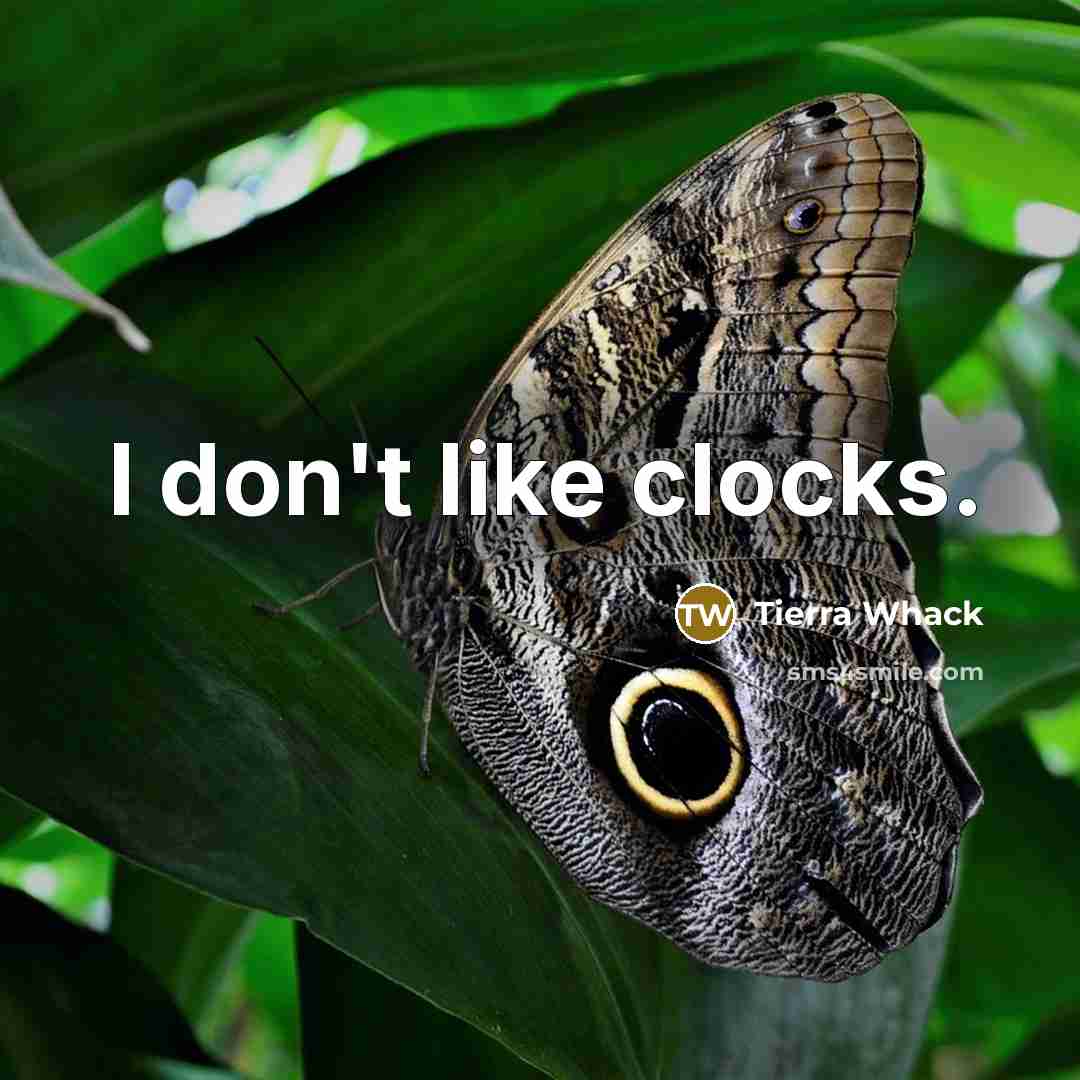 “I don't like clocks.…” quote by Tierra Whack