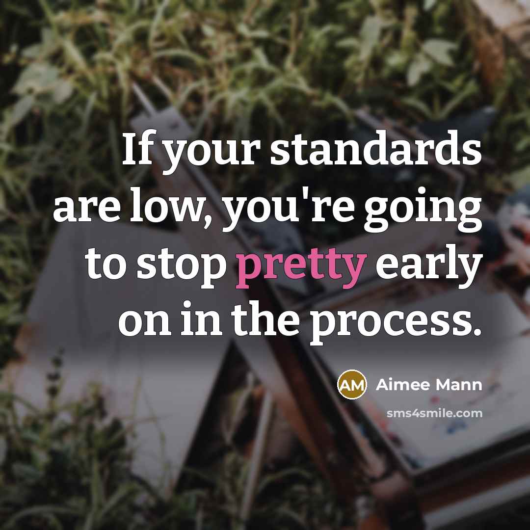 “If your standards are low, you're going to stop pretty…” quote by Aimee Mann