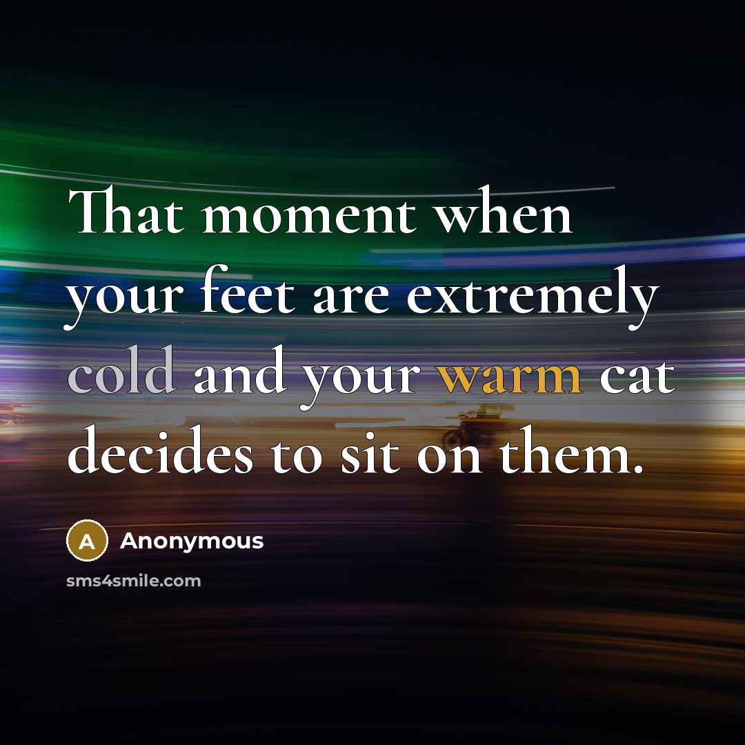 “That moment when your feet are extremely cold and your warm cat decides to sit on them.” quote by Anonymous