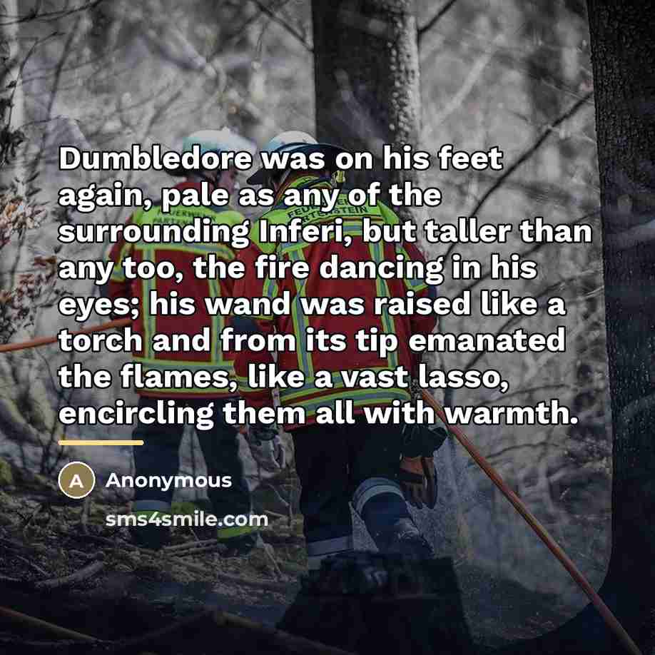 “Dumbledore was on his feet again, pale as any of…” quote by Anonymous