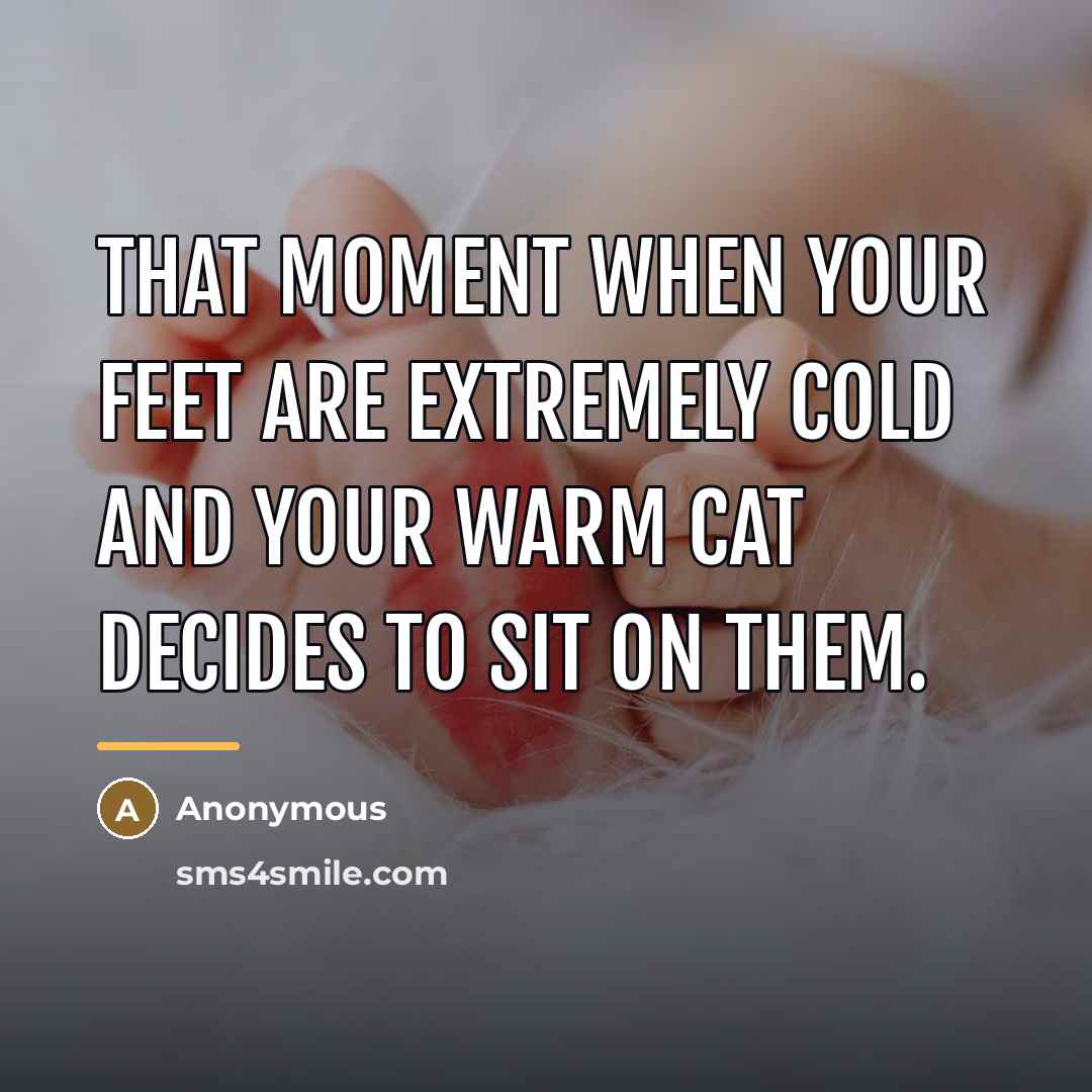 “That moment when your feet are extremely cold and your…” quote by Anonymous