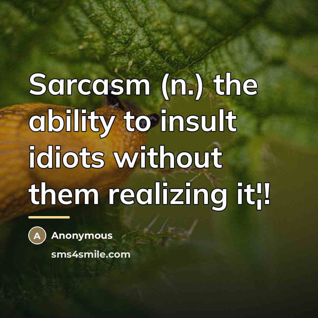 “Sarcasm (n.) the ability to insult idiots without them realizing…” quote by Anonymous