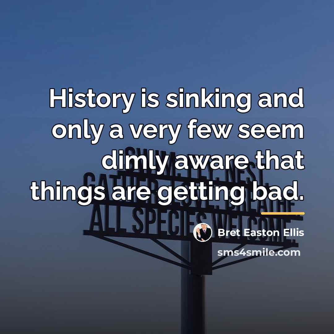 “History is sinking and only a very few seem dimly…” quote by Bret Easton Ellis