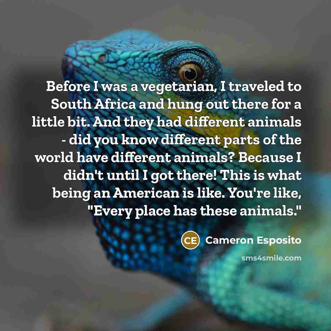 “Before I was a vegetarian, I traveled to South Africa…” quote by Cameron Esposito