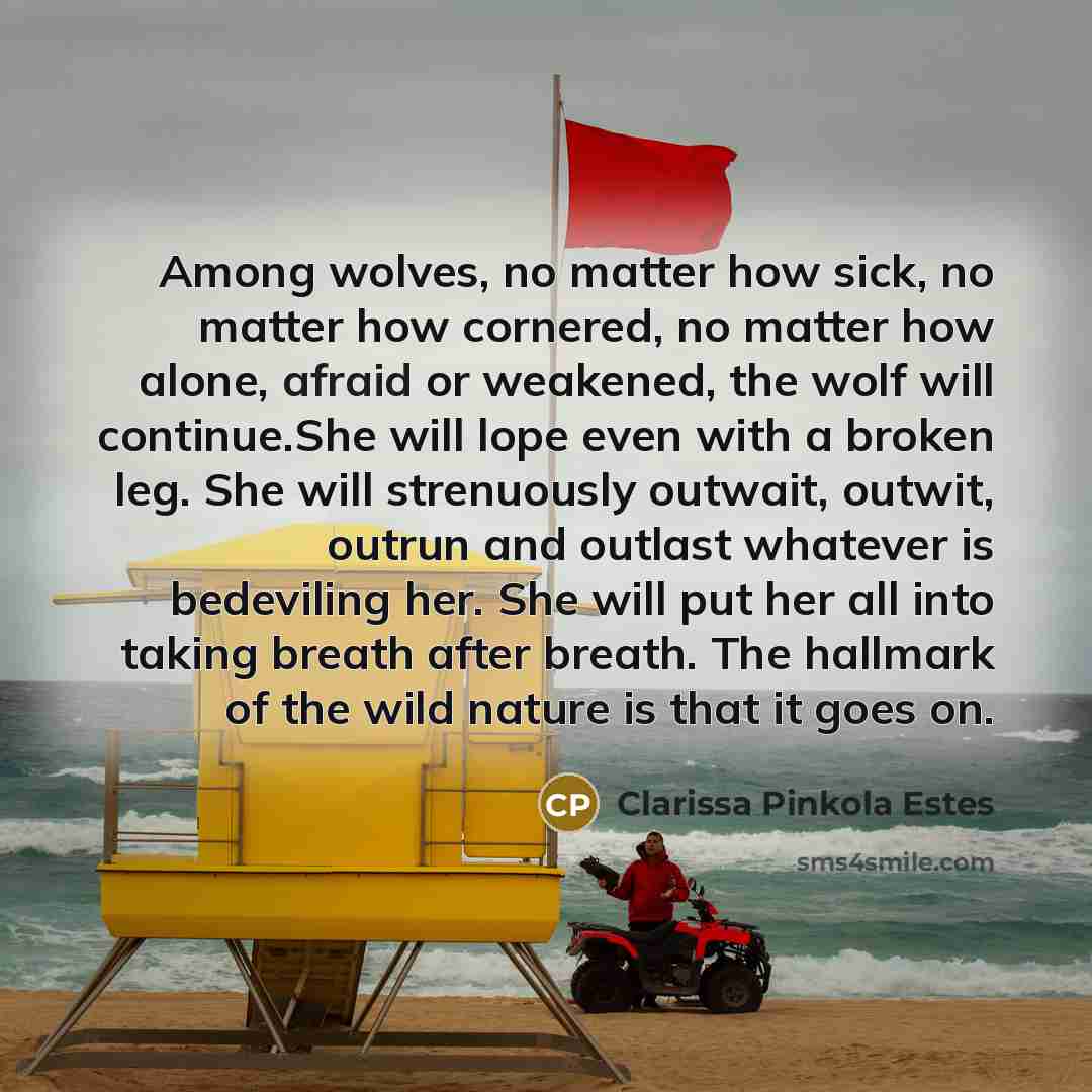“Among wolves, no matter how sick, no matter how cornered,…” quote by Clarissa Pinkola Estes