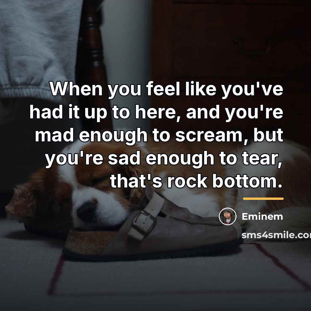 “When you feel like you've had it up to here,…” quote by Eminem