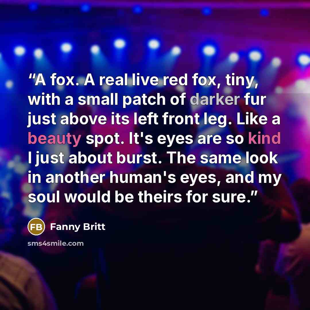 “A fox. A real live red fox, tiny, with a small patch of darker fur just above its left front leg. Like a beauty spot. It's eyes are so kind I just about burst. The same look in another human's eyes, and my soul would be theirs for sure.” quote by Fanny Britt